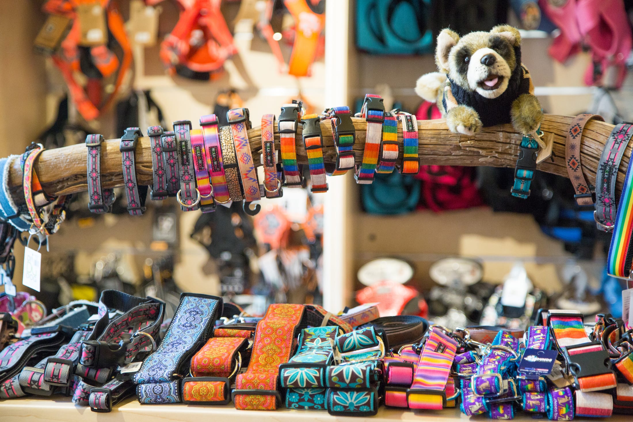 Colorful dog collars displayed inside BowWow Sedona