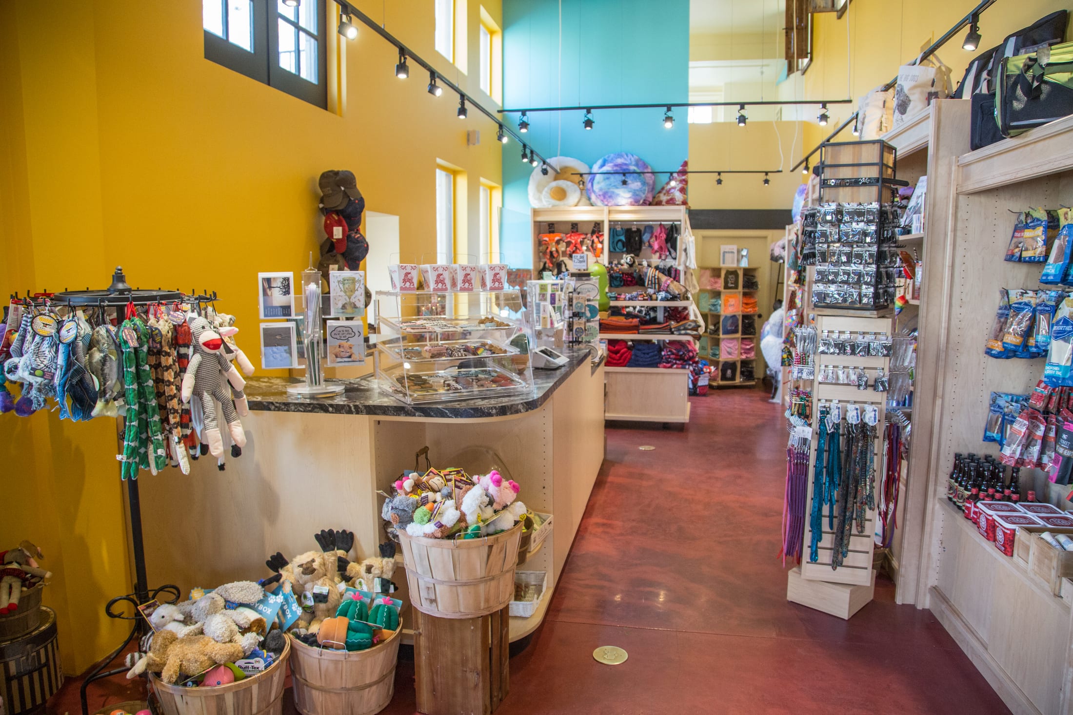The colorful interior of BowWow Sedona